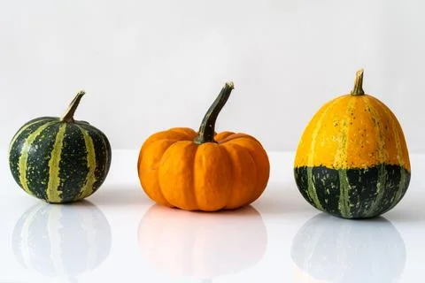 Pumpkins and and Gourd Bumpy orange on white background with copy space Stock Photos