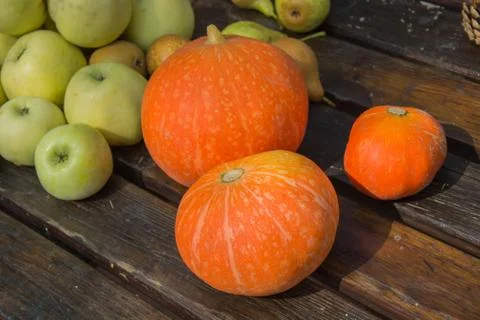 Pumpkins and apples lying on the table Stock Photos