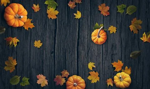Pumpkins and autumn leaves top view background Stock Illustration