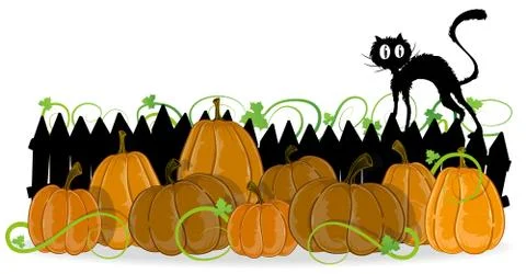 Pumpkins and black cat Stock Illustration