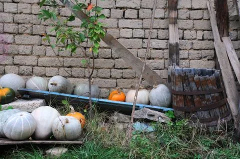 Pumpkins and broken barrel Stock Photos