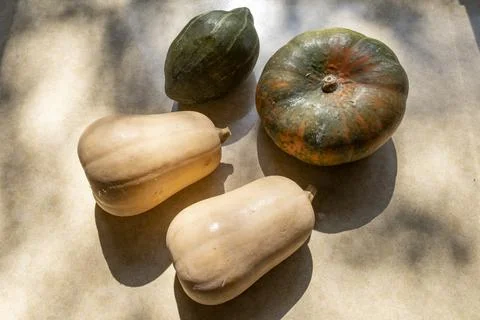 Pumpkins and butternut squash on the kitchen counter Stock Photos