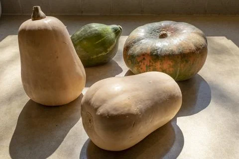 Pumpkins and butternut squash Stock Photos