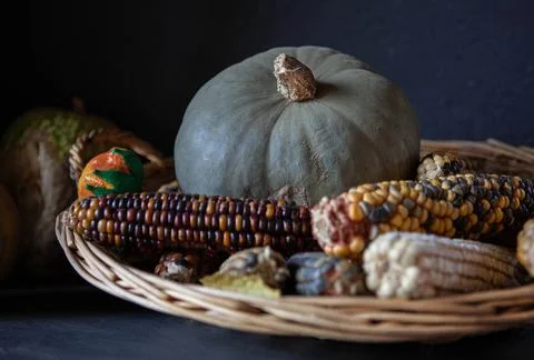 Pumpkins and ears of corn in a wicker basket Stock Photos