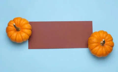 Pumpkins and empty card on blue background for autumn or fall Stock Photos