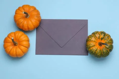 Pumpkins and envelope on blue background for fall or holiday Stock Photos