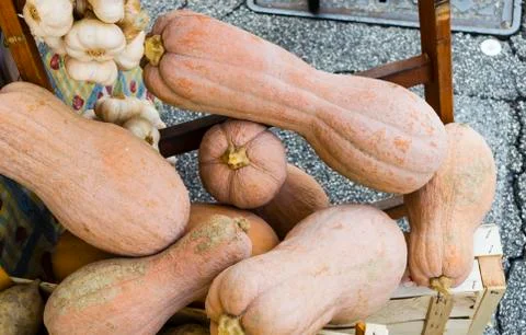 Pumpkins and garlic Foto stock