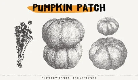 Pumpkins and herbs vector illustration. Trendy stippling photocopy effect Stock Illustration