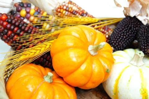 Pumpkins and indian corn Stock Photos