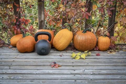 Pumpkins and kettlebell in backyard Stock-Fotos