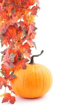 Pumpkins and leaves Stock Photos