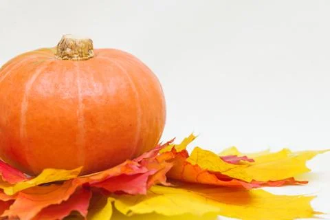 Pumpkins and leaves Stock Photos