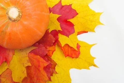 Pumpkins and leaves Stock Photos