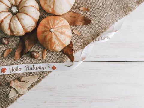 Pumpkins and leaves on the table. Stock Photos