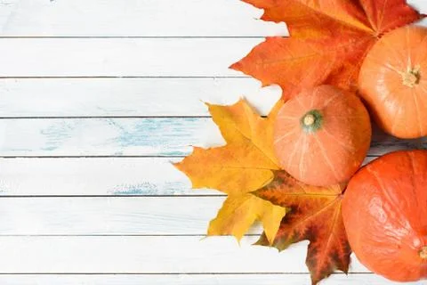 Pumpkins and maple leaf on old white table Stock Photos