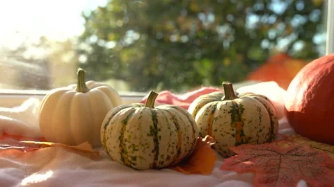 Pumpkins and orange falling leaves on windowsill on a sunset in Autumn sunny day Stock Footage 161163211