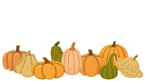 Pumpkins and squashes vector illustration. Illustrazione stock