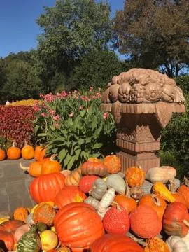 Pumpkins at the arboretum Stock Photos