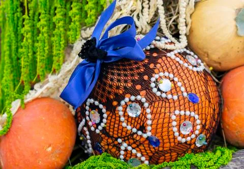 Pumpkins. Autumn composition with pumpkins in gift wrapping. Stock Photos
