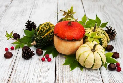 Pumpkins with autumn leaves Stock Photos