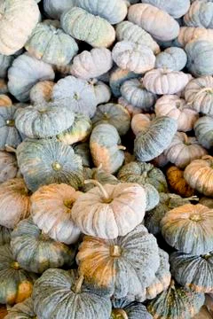 Pumpkins background Stock Photos