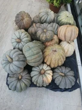 Pumpkins background, selective focus Foto stock