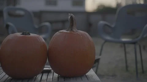 Pumpkins on backyard table at sunset Video stock 226451859