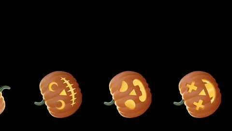 Pumpkins banner Stock Footage 310633598