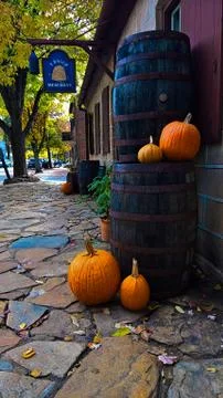Pumpkins On Barrels In Fall Foto stock