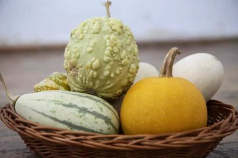 Pumpkins in the basket Stock Photos