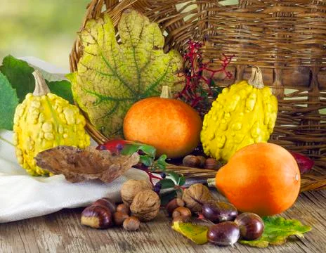 Pumpkins with basket Stock Photos