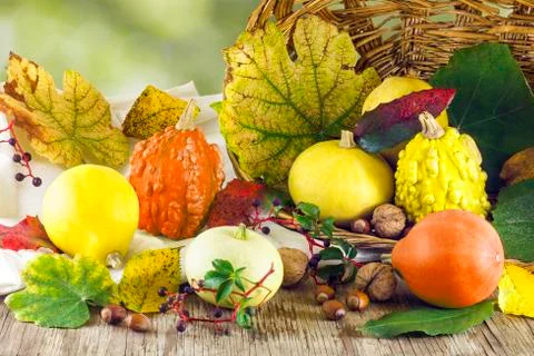 Pumpkins with basket Stock Photos