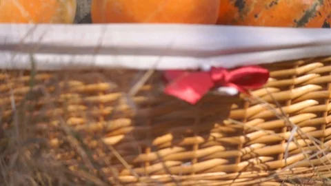 Pumpkins in the basket for Thanksgiving Stock Footage 95059949