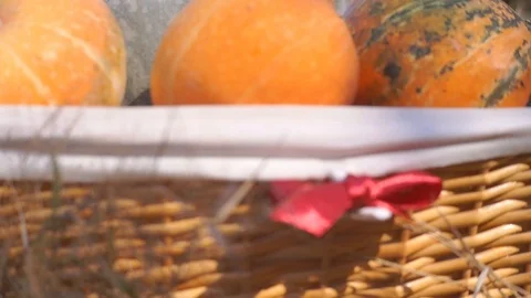 Pumpkins in the basket for Thanksgiving Stock Footage 95059952