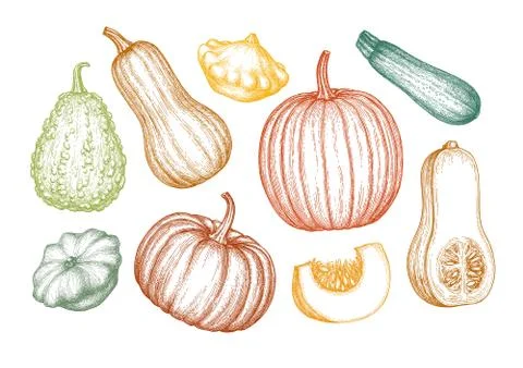 Pumpkins big set Stock Illustration