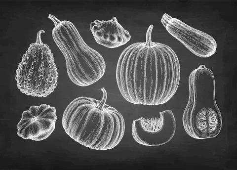 Pumpkins big set Stock Illustration