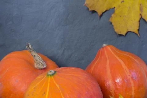 Pumpkins on black background Stock Photos