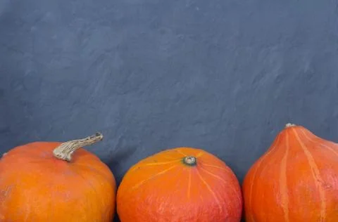 Pumpkins on black background Stock Photos