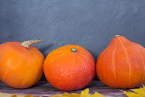 Pumpkins on black background Stock Photos