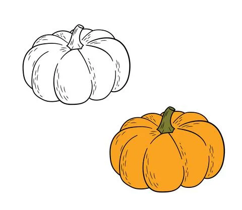 Pumpkins black outlined and colored line art. Vector hand drawn pumpkin isolated Stock Illustration