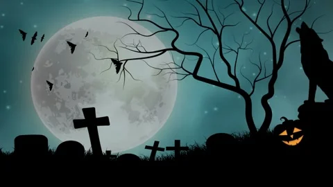 Pumpkins That Bled Shadows in the Haunted Fields of Midnight Stock Footage 316993353
