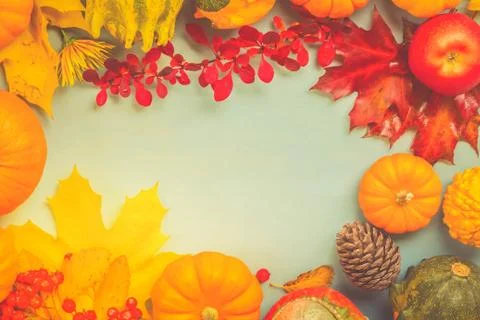 Pumpkins on blue table Stock Photos