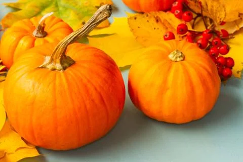 Pumpkins on blue table Stock Photos