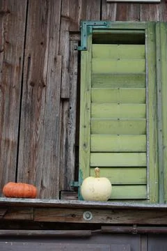Pumpkins on a board with green shutters. Stock-Fotos