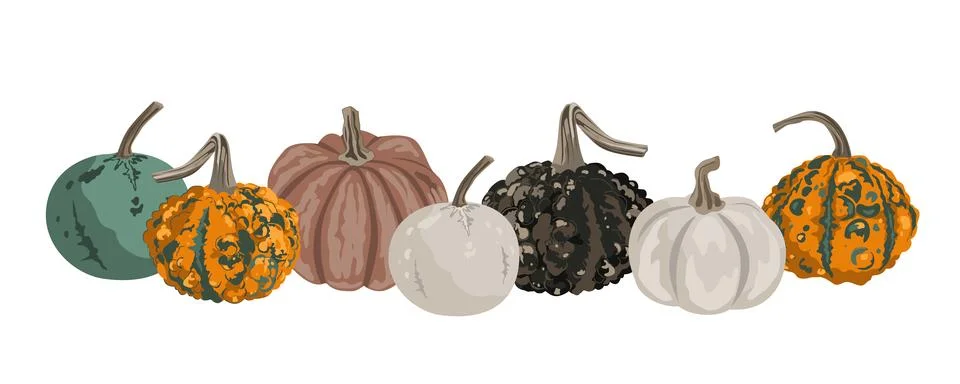 Pumpkins border garland composition isolated on white. Cozy small gourds au.. Stock Illustration
