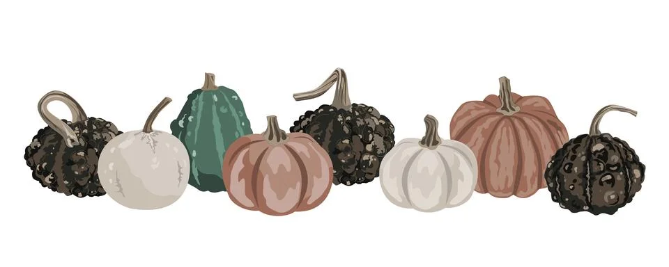 Pumpkins border garland composition isolated on white. Cozy small gourds autu Stock Illustration
