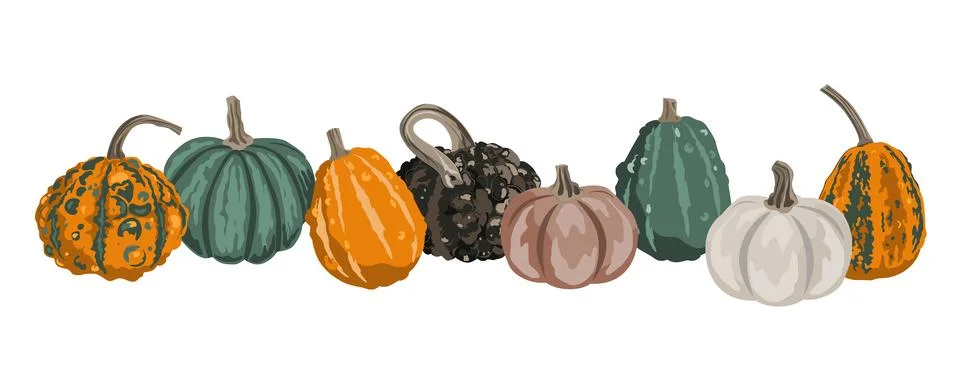Pumpkins border garland composition isolated on white. Cozy small gourds autu Stock Illustration