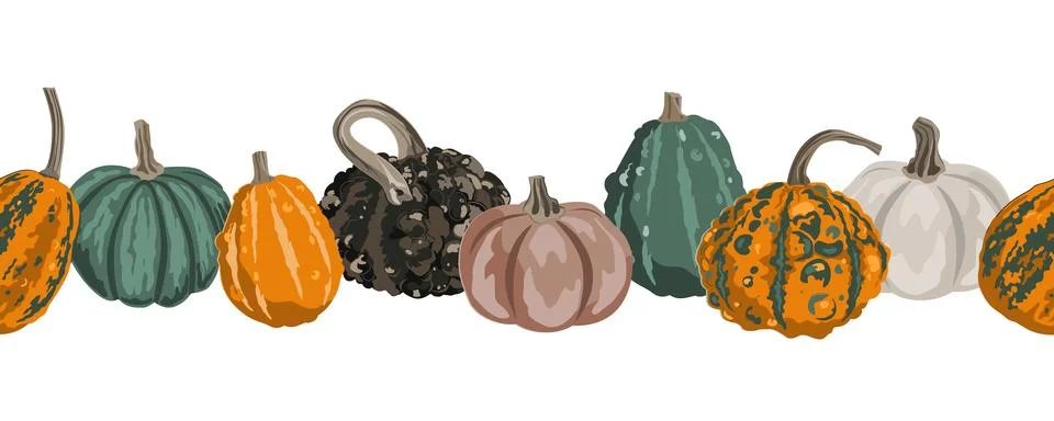Pumpkins border garland composition isolated on white. Cozy small gourds autu Stock Illustration