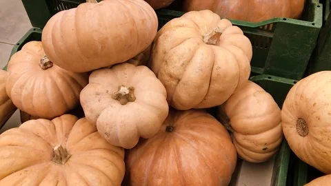 Pumpkins in a box Stock-Footage 259179698