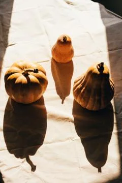 Pumpkins in bright light with hard shadows Stock Photos